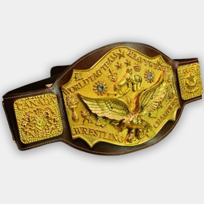 NWA World Tag Team Championship Belt Gold Color
