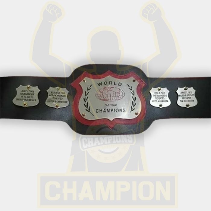 Old NWA World Tag Team Championship Belt