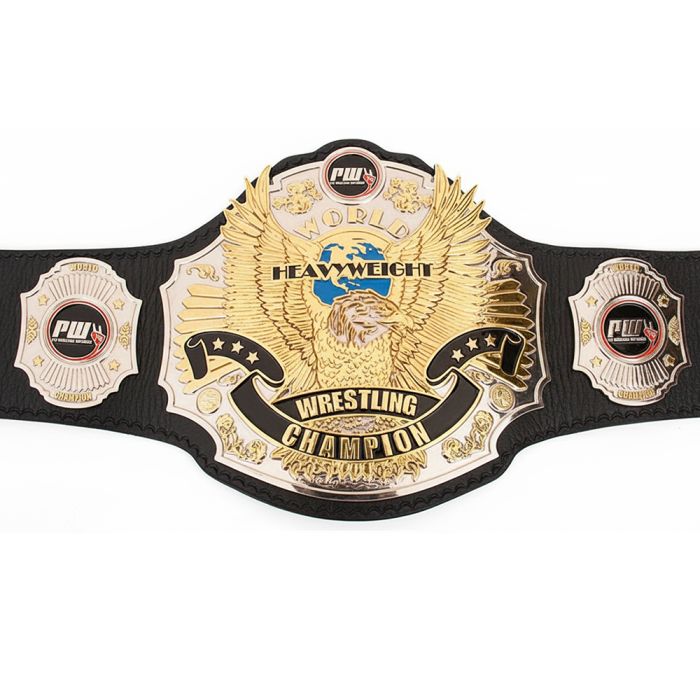 Pro Wrestling Unplugged World Title Belt
