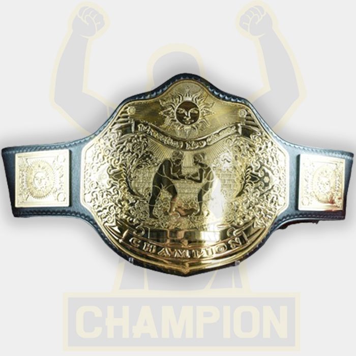 Tajiri's Wrestling Championship Belt