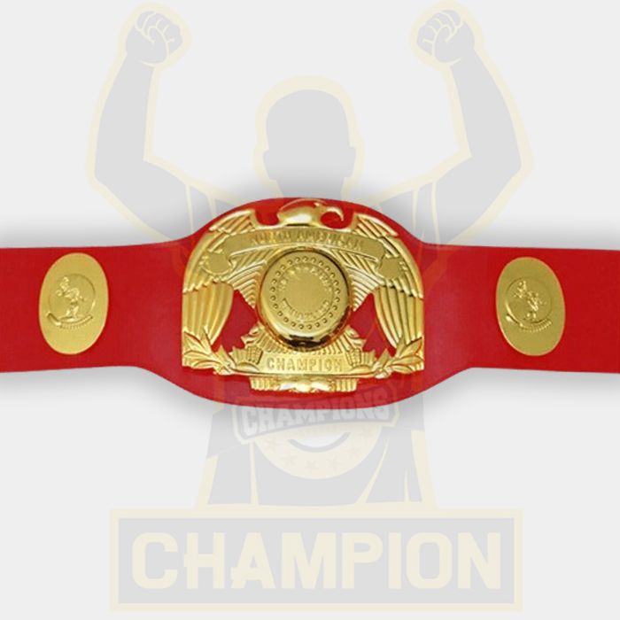 WWC North American Wrestling Championship Belt