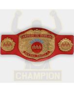 AAA World Mixed Tag Team Championship Belt Women Campeon Lady Maravilla Villano III