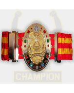 All Asia Heavyweight Wrestling Championship Belt Japan Pro Heavyweight