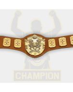 All Asia Tag Team Wrestling Championship Belt Japan Wrestling Yusuke Kodama Czaya