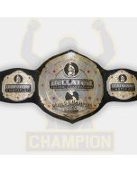 Amazing MMA UFC Bellator Kickboxing World Championship Title Fighting Belt