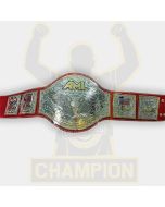 AML America's Championship Belt America Wrestling Championship