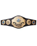 Undisputed Universal Championship Belt
