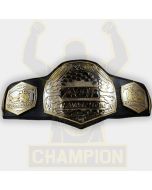 Art Of Fighting MMA Supreme Championship Belt
