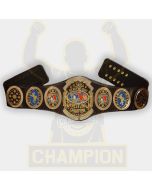 AWA Florida Heavyweight Wrestling Championship Belt 