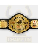 Big Japan Pro Strong World Wrestling WXW Xtreme CZW Combat BJW Championship Belt