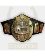 BTW Big Time Wrestling Championship Belt Roy Shire Michigan Detroit