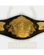 CFA Fighting Alliance Heavyweight Champion Title Belt Metal MMA