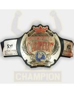 Costa Rica Fite Nite National Championship Belt