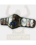 Custom Masked Man Championship Belt