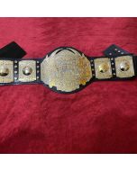 TNA World Heavyweight Wrestling Championship Belt NEW