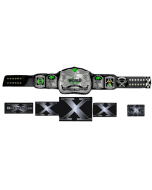 CM Punk 434 Day Record Signature Series Championship Belt