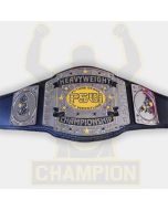 FSW Future Stars of Wrestling Championship Title Belt