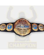 Impact World Wrestling Championship Belt