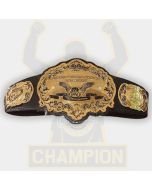 Independent Federation Wrestling Championship Title Belt