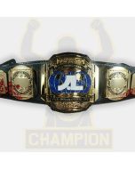 J L Marketing Wrestling Championship Title Belt