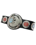 WWE Undertaker 30 Years Championship Belt