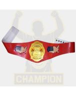 NWA Continental USA Heavyweight Wrestling Championship Belt