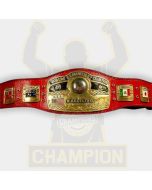 NWA Jack Brisco Mid Atlantic World Heavyweight Wrestling Championship Belt