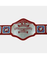NWA Television Heavyweight Wrestling Championship Title Belt NEW