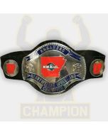 NWA Tri-State Arkansas Champion Belt - Alfred Williams Dizzy