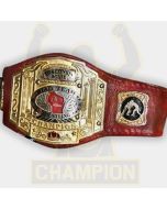 NWA Wisconsin State Tag Team Champion Belt - The Re-Gex Spanish Stew
