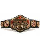 WWE Undertaker 30 Years Championship Belt