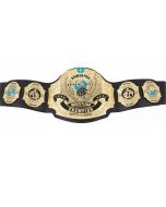 WWE Undertaker 30 Years Championship Belt