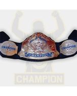 United States Wrestling Championship Belt