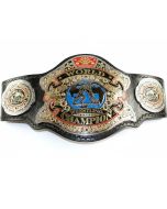 WWE Undertaker 30 Years Championship Belt