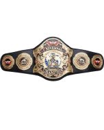 WWE Undertaker 30 Years Championship Belt