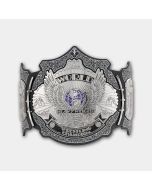 WWE Undertaker 30 Years Championship Belt